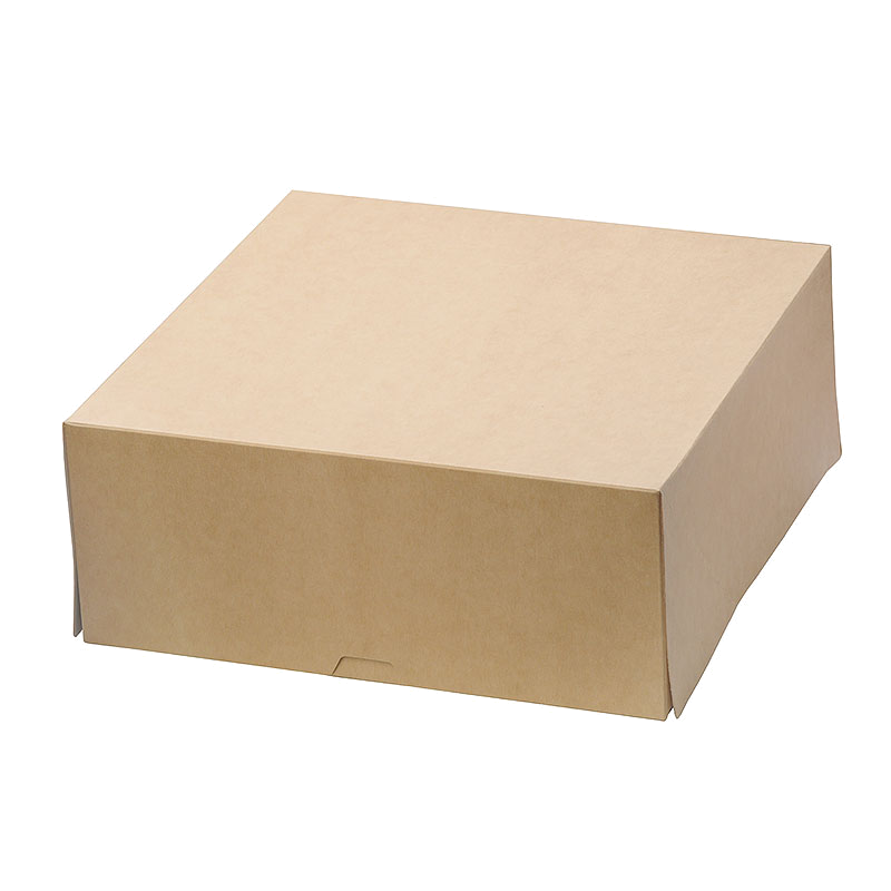 Коробка 'DoEco' ECO CAKE 6000 255х255х105 мм