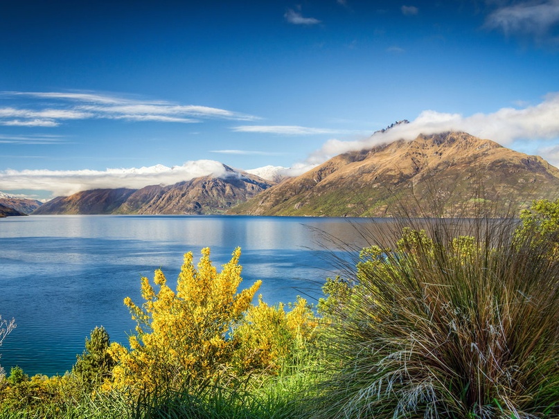 Новая Зеландия бьет тревогу: ландшафт страдает от туристов!