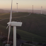 “Зелёные фильмы” об экологии и устойчивом развитии, которые важно посмотреть в 2020